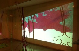 Limite | Annamaria Gelmi