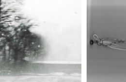 Distacco Invernale | Carlo Pucci