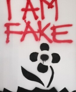 FAKE FLOWERS | Enrico Bonetto